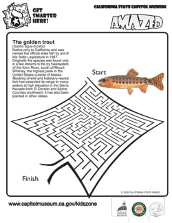 Golden Trout maze