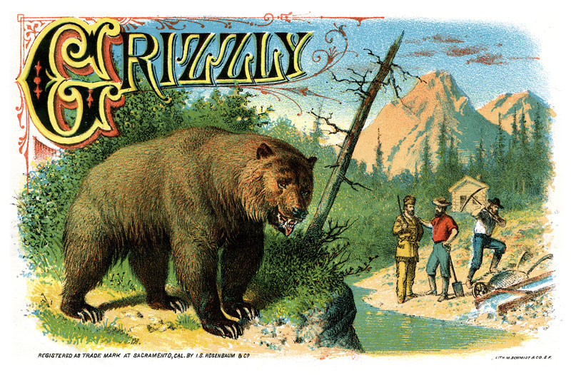 CA Grizzly Postcard