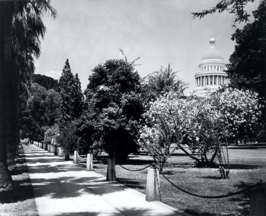 Capitol Park in 1900s