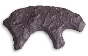 Prehistoric Artifact