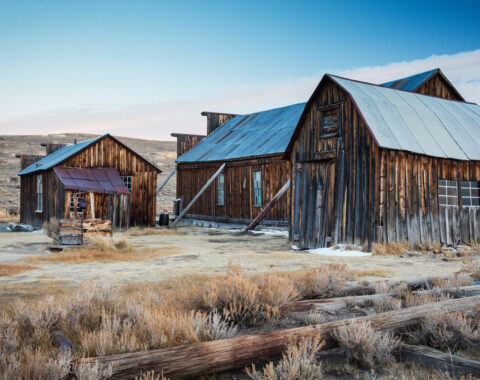 Iconic California: State Symbols that Represent California | California ...