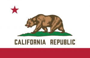 State Flag