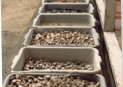 Mosaic Pieces