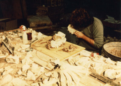 Restoration specialist examining original plaster fragments