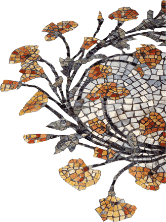 Poppy Mosaic Tile